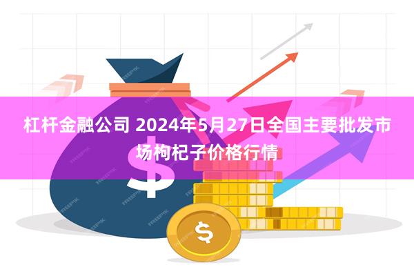 杠杆金融公司 2024年5月27日全国主要批发市场枸杞子价格行情