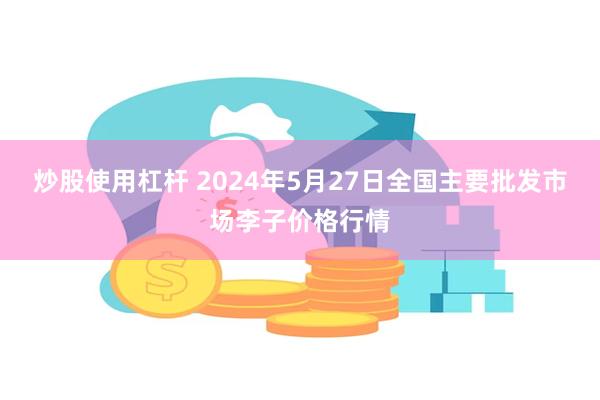 炒股使用杠杆 2024年5月27日全国主要批发市场李子价格行情