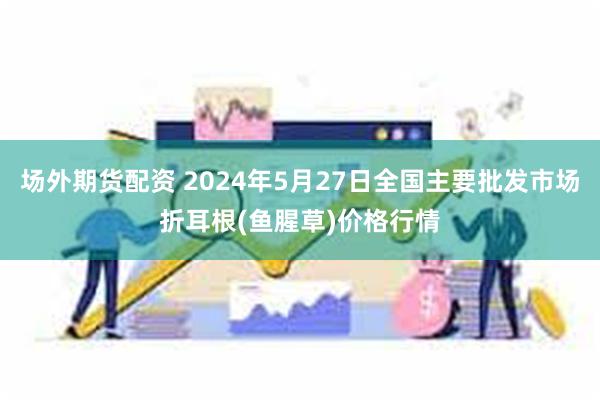 场外期货配资 2024年5月27日全国主要批发市场折耳根(鱼腥草)价格行情