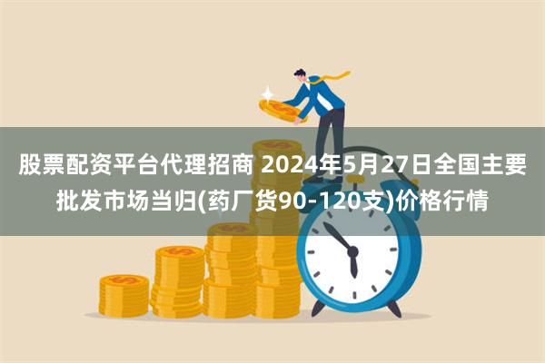 股票配资平台代理招商 2024年5月27日全国主要批发市场当归(药厂货90-120支)价格行情