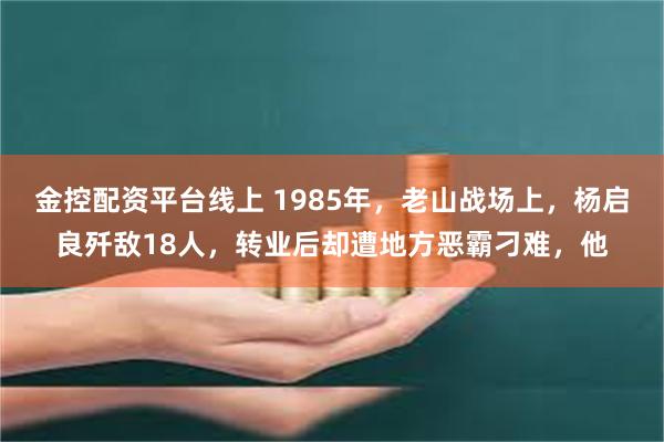 金控配资平台线上 1985年，老山战场上，杨启良歼敌18人，转业后却遭地方恶霸刁难，他