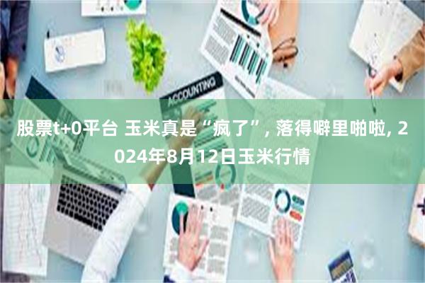 股票t+0平台 玉米真是“疯了”, 落得噼里啪啦, 2024年8月12日玉米行情