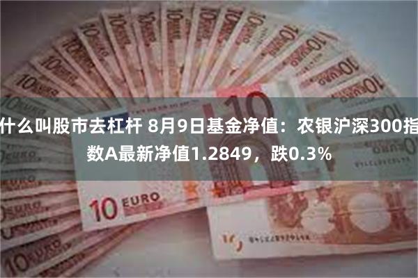 什么叫股市去杠杆 8月9日基金净值：农银沪深300指数A最新净值1.2849，跌0.3%