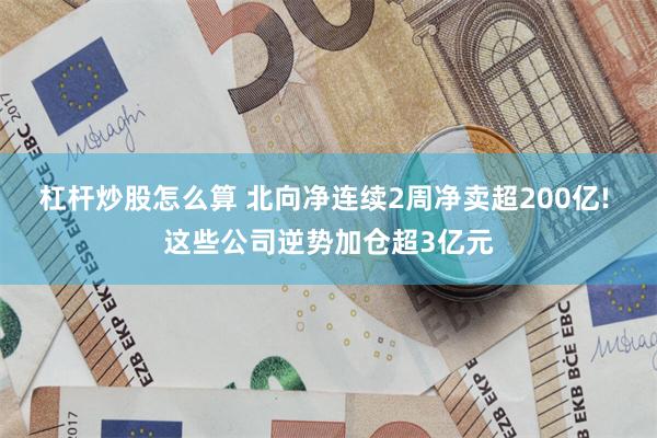 杠杆炒股怎么算 北向净连续2周净卖超200亿! 这些公司逆势加仓超3亿元