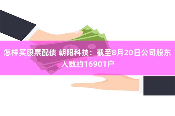 怎样买股票配债 朝阳科技：截至8月20日公司股东人数约16901户