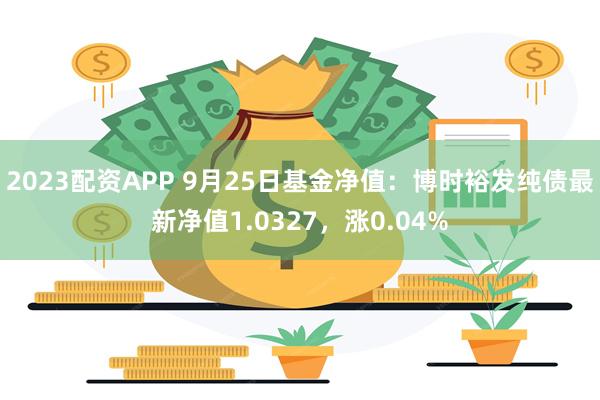 2023配资APP 9月25日基金净值：博时裕发纯债最新净值1.0327，涨0.04%