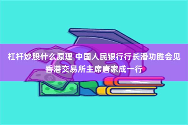 杠杆炒股什么原理 中国人民银行行长潘功胜会见香港交易所主席唐家成一行