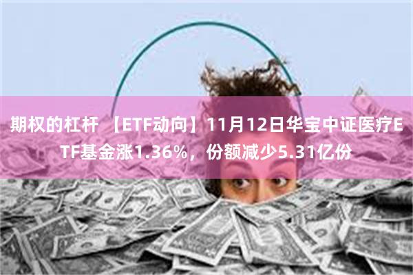 期权的杠杆 【ETF动向】11月12日华宝中证医疗ETF基金涨1.36%，份额减少5.31亿份