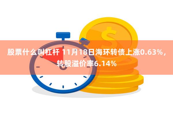 股票什么叫杠杆 11月18日海环转债上涨0.63%，转股溢价率6.14%