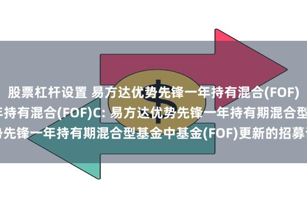 股票杠杆设置 易方达优势先锋一年持有混合(FOF)A,易方达优势先锋一年持有混合(FOF)C: 易方达优势先锋一年持有期混合型基金中基金(FOF)更新的招募说明书